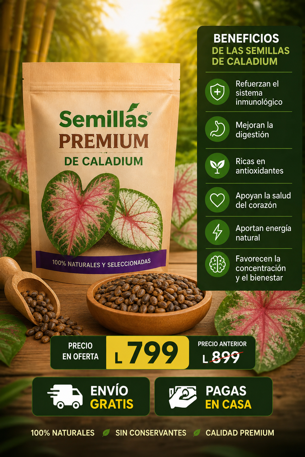 Semillas de Cladium