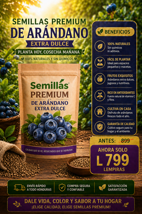 Semillas PREMIUM Arándanos Extra Dulce
